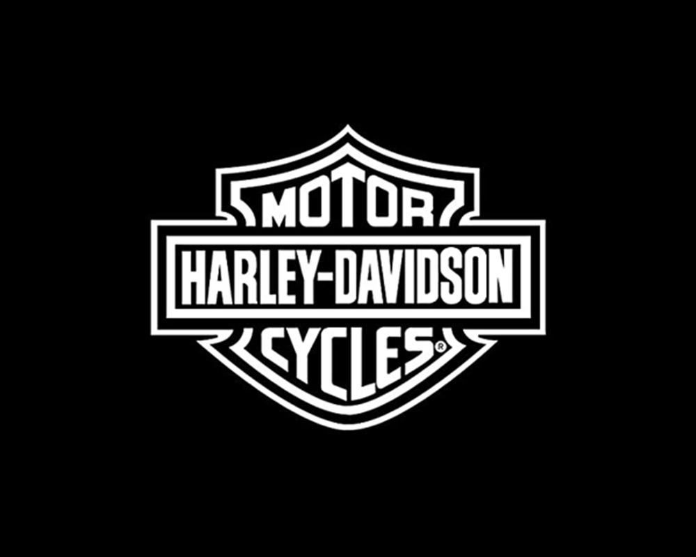 Harley Davidson Stunt Parts